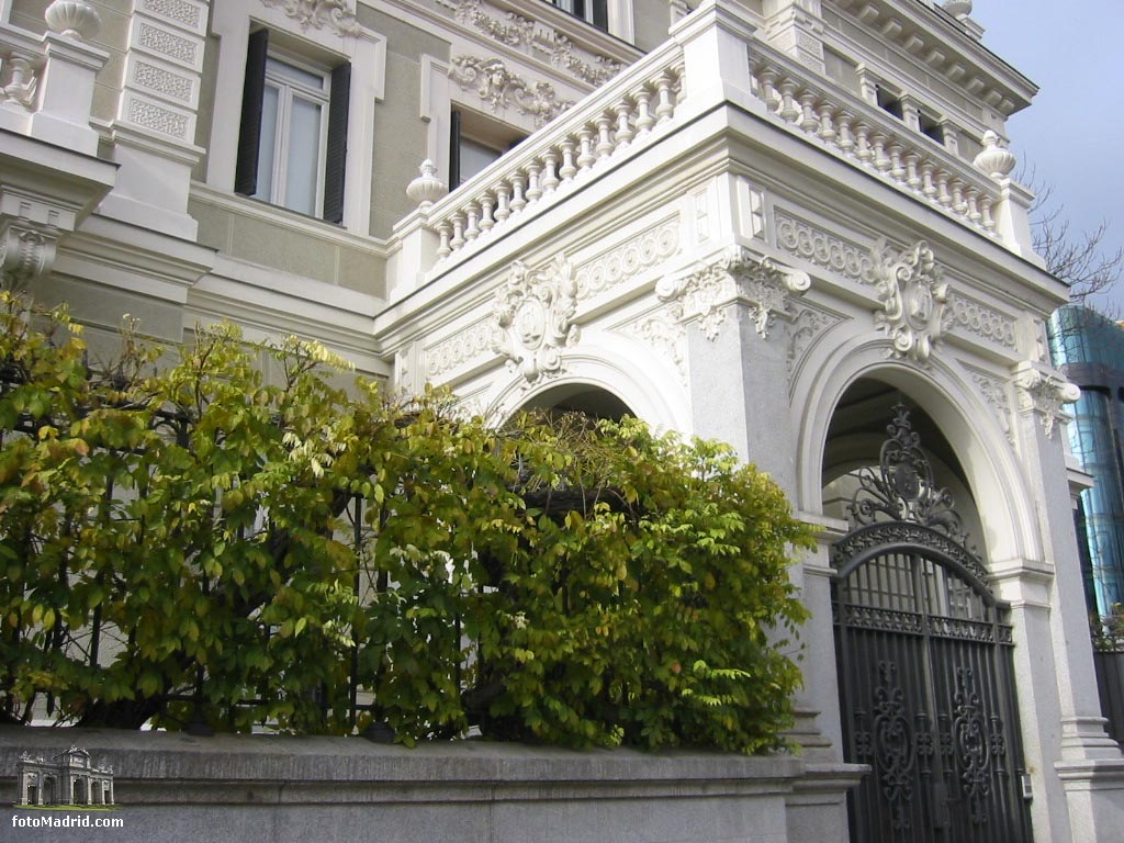 Fundacin Rafael del Pino