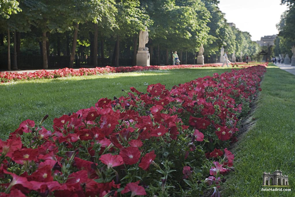 Flores en El Retiro