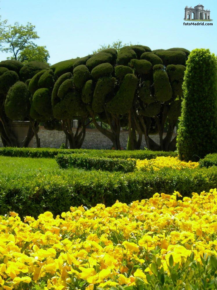 Oro Verde del Retiro