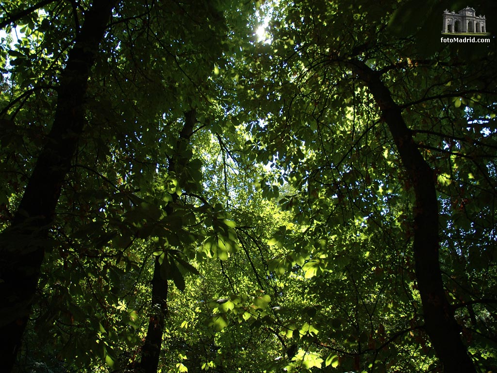 Jardines del Buen Retiro