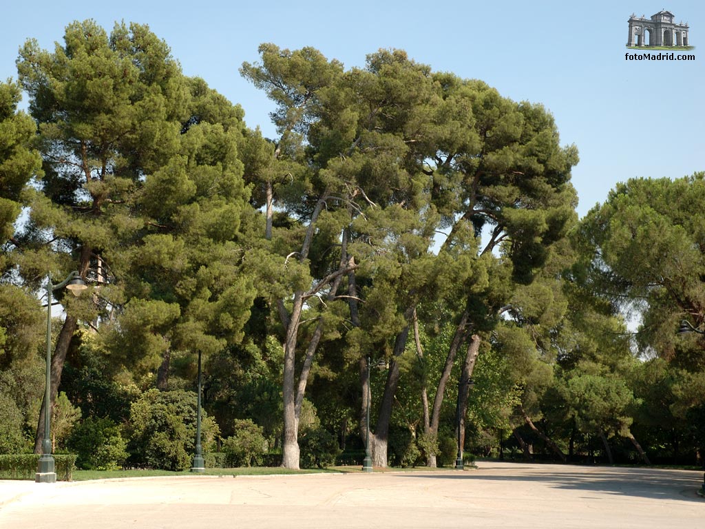 Paseo del Duque de Fernn Nuez (Retiro)