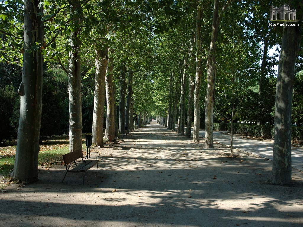 Paseo en el Retiro