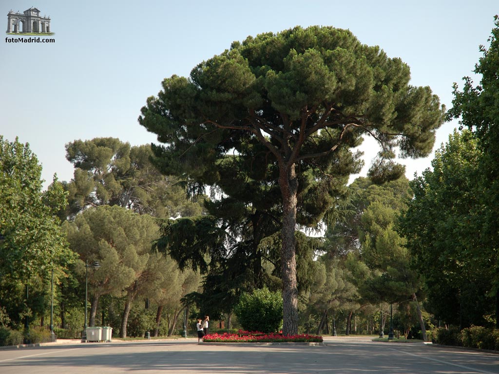 Paseo en El Retiro