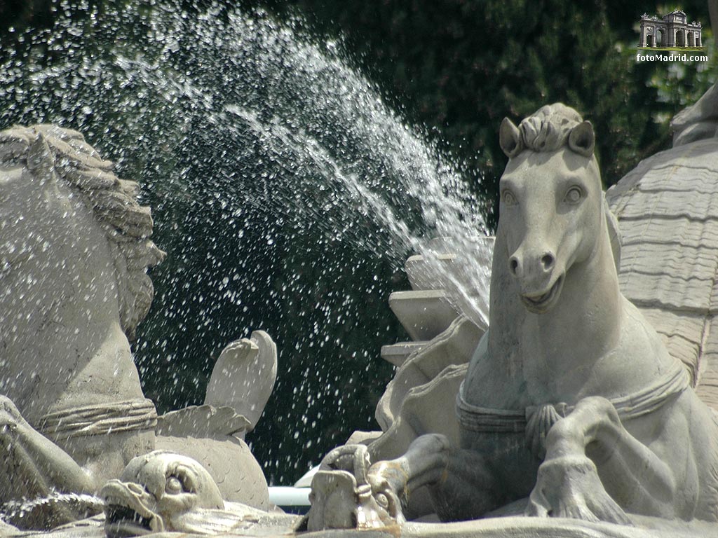 Fuente de Neptuno (Detalle)