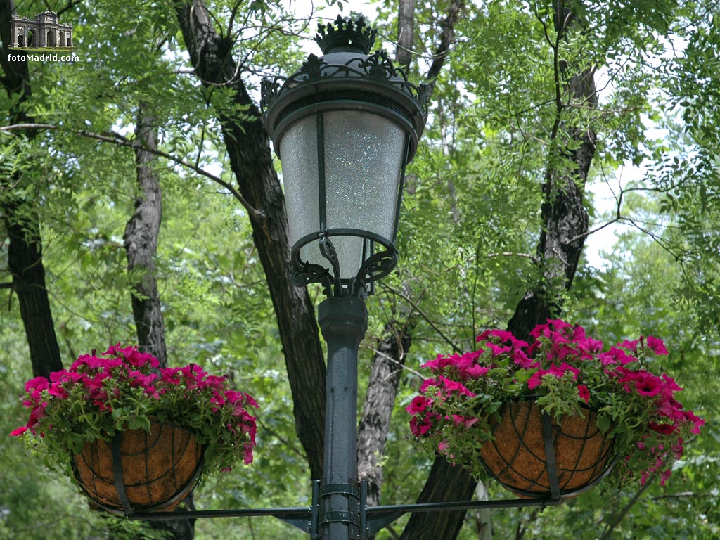 Farola y flores