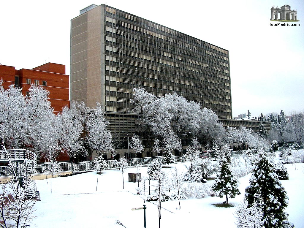 Nieve en la Facultad de Biolgicas