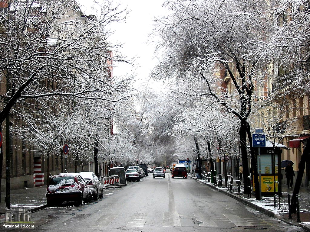 Guzmn el Bueno nevado