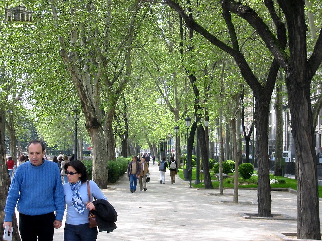 Lateral Paseo del Prado