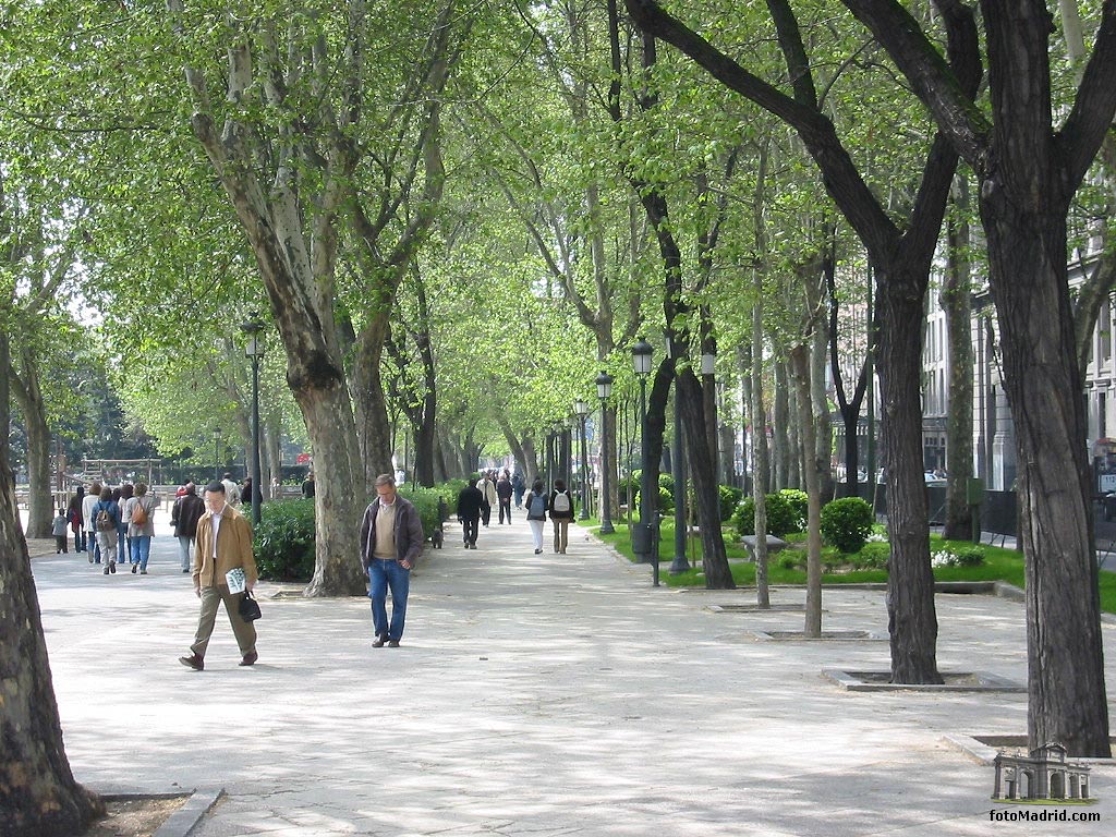 Lateral Paseo del Prado