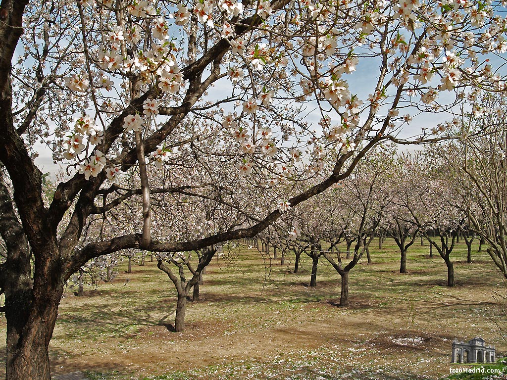 Parque Quinta de los Molinos