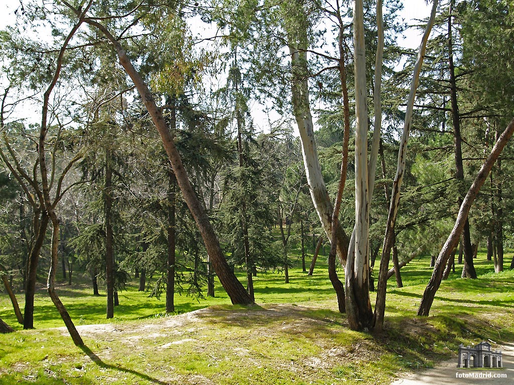 Parque Quinta de los Molinos