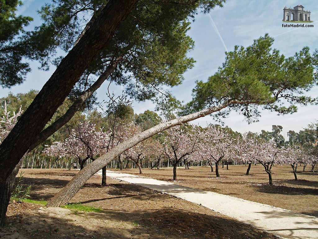 Parque Quinta de los Molinos