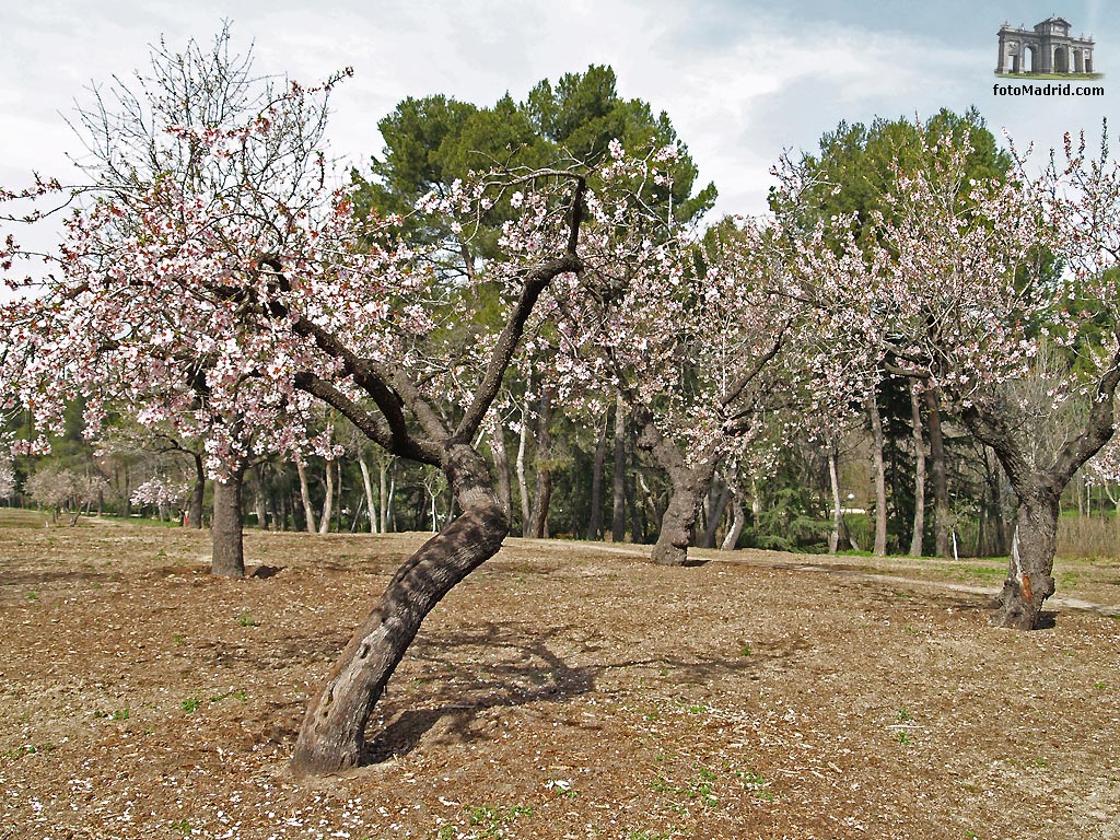 Parque Quinta de los Molinos