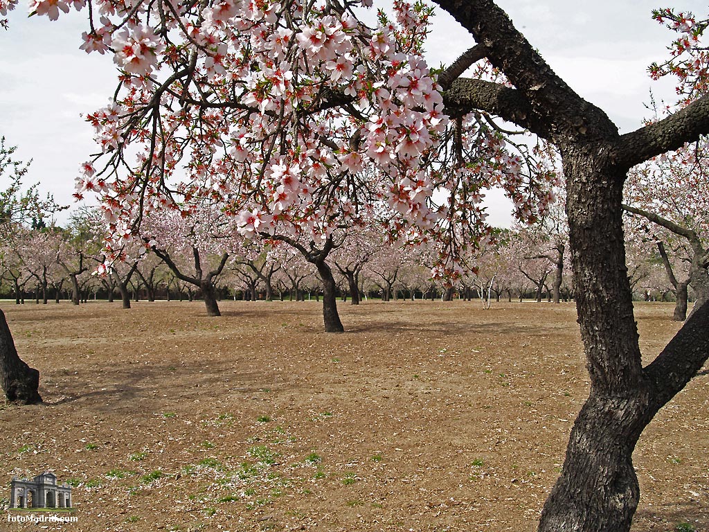 Parque Quinta de los Molinos