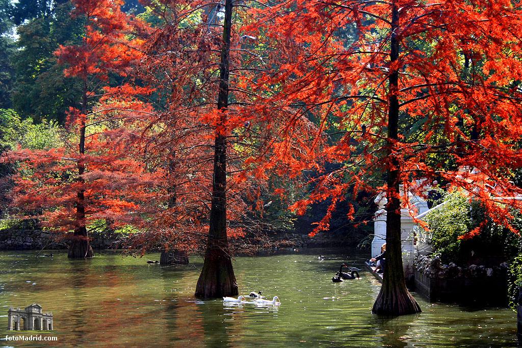 Lago del Palacio de Cristal