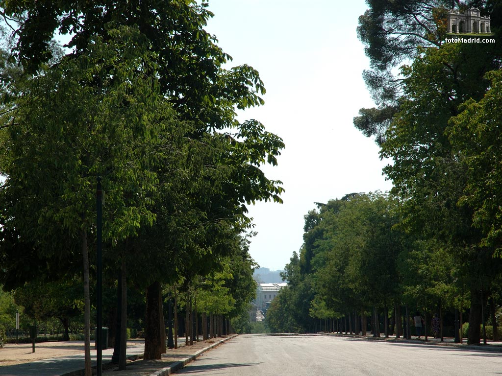 Paseo del Duque de Fernn Nuez (Retiro)